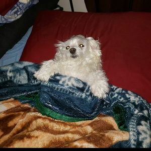 Meet your Posher, Bianca